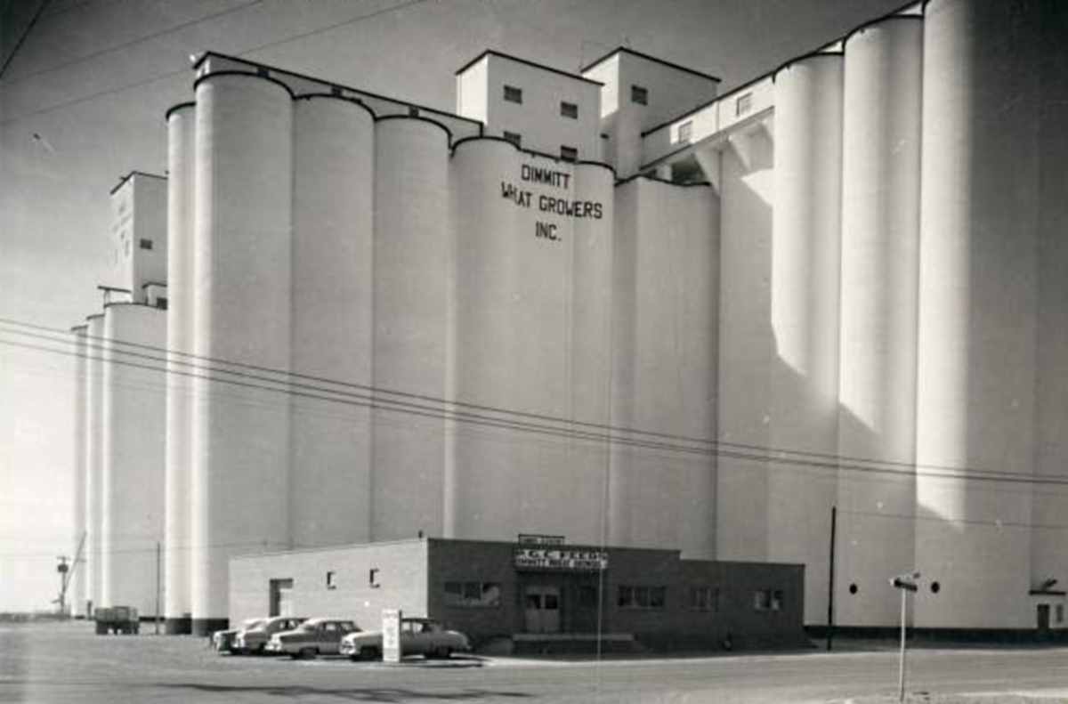 Dimmitt Elevator in 1950s